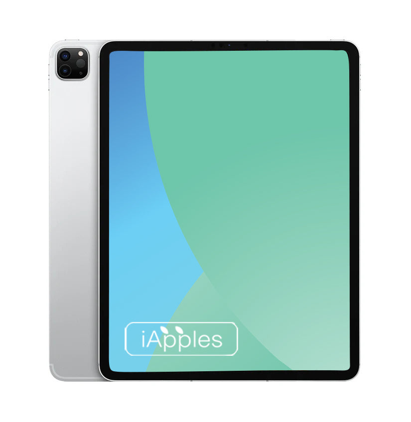 iPad Pro 12,9 pouces (2020)